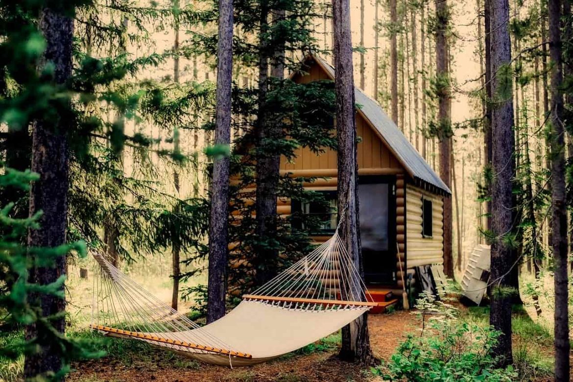 Une cabane en bois entourée de grands arbres avec un hamac suspendu au premier plan.